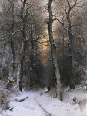 unknow artist Sunset in the Forest oil painting image